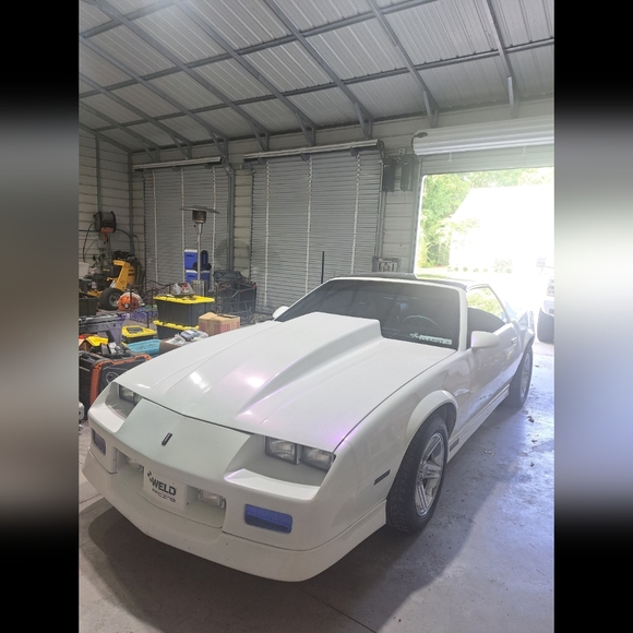 A POSHERS LIFE - Picture 12 of 14